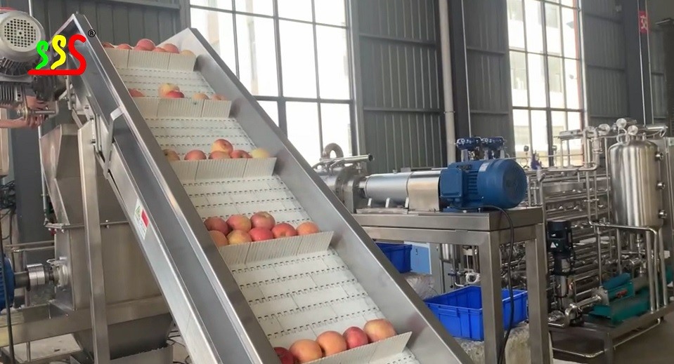 1000kg/H Apple Juice Fruit Processing Line / Automatic Fruit Puree Pulp Juice Processing Equipment
