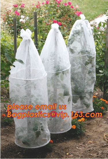 Multi-Span Plastic Film Cover Natural Ventilation Vegetable Greenhouse,Greenhouse Kits Plastic Greenhouse 200 micron gre