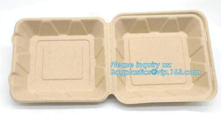 Meal Prep Containers Free Sample Bento Lunch Box Biodegradable Food Container Plastic Wheat Straw Lunch Box bagplastics