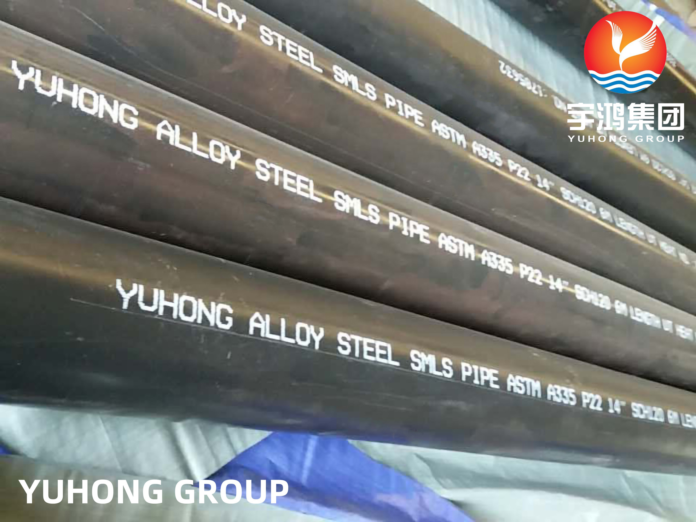 Alloy Steel Seamless Tube ASTM A213 ASME SA213 T5,T9 ,T11 T12 T22 For Heat Excanger