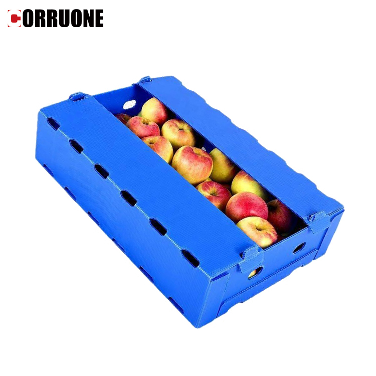 Polypropylene Honeycomb Boxes Plastic Coaming Box For Flour Rice