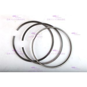 6 Cyls Engine Piston Rings For  D7D D7E 21299547