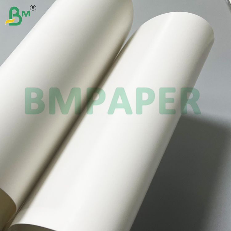 210g + 15g Single  PE Coated Cup Stock Paper With 100% Virgin Wood Pulp 