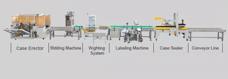Fully Automatic Random Open Folding Box Case Former Erecting Machine Vertical Carton Erector