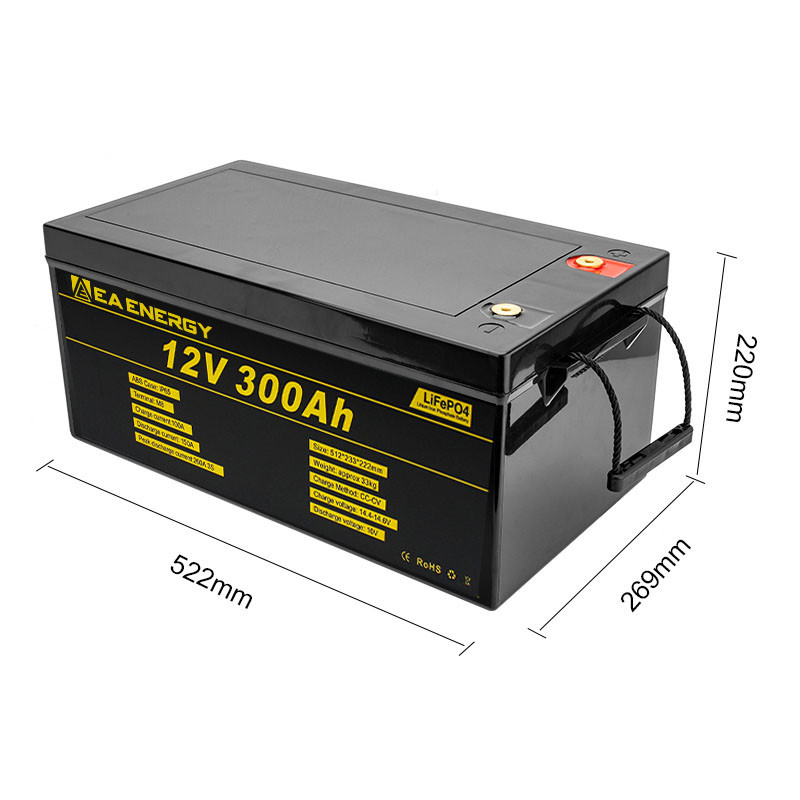 12V 300Ah 3840Wh Deep Cycle LiFePO4 Battery Built In 200A BMS