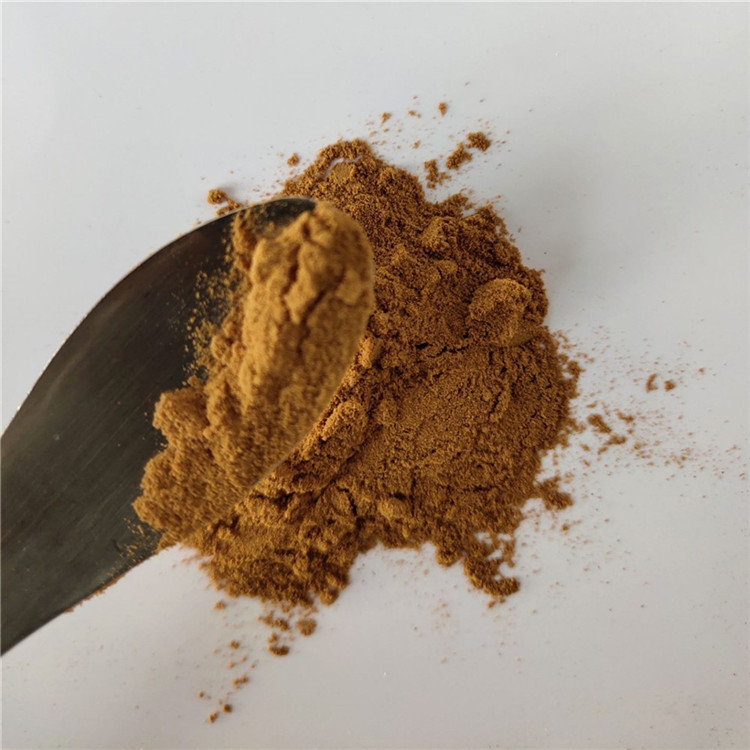 Wholesale Health Care Product Pure Natural Extract Rumex