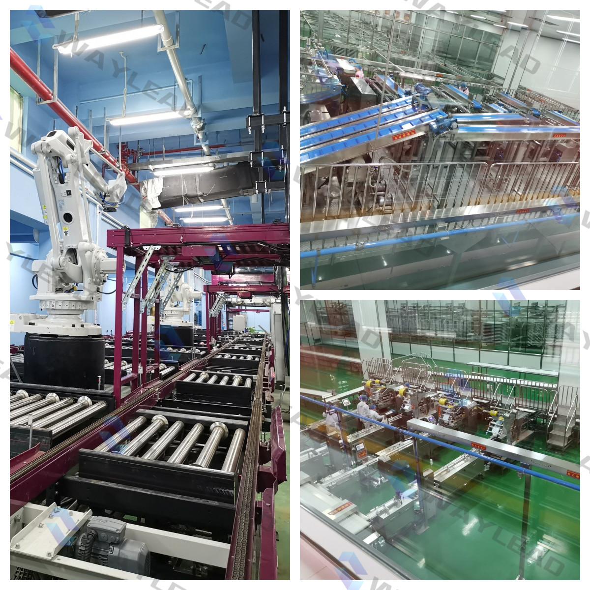 1Ph 220V 50Hz Automatic Packaging Line Automated Snacks Packaging Machine