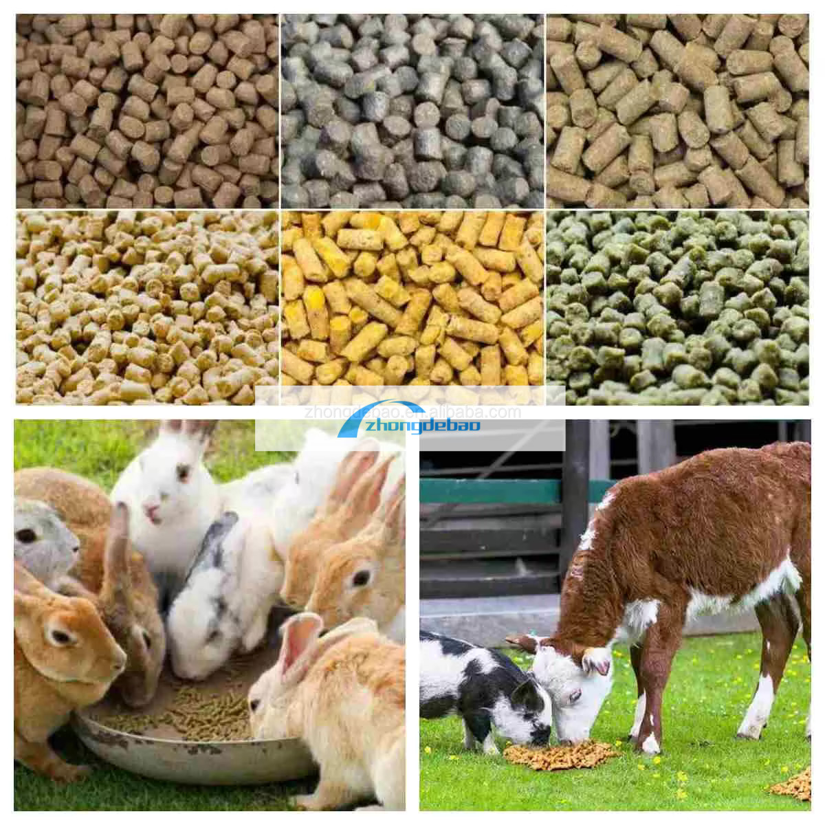 Factory supply Chicken/Animal/Cow Feed Pellet Machine Production Line 1ton 2ton