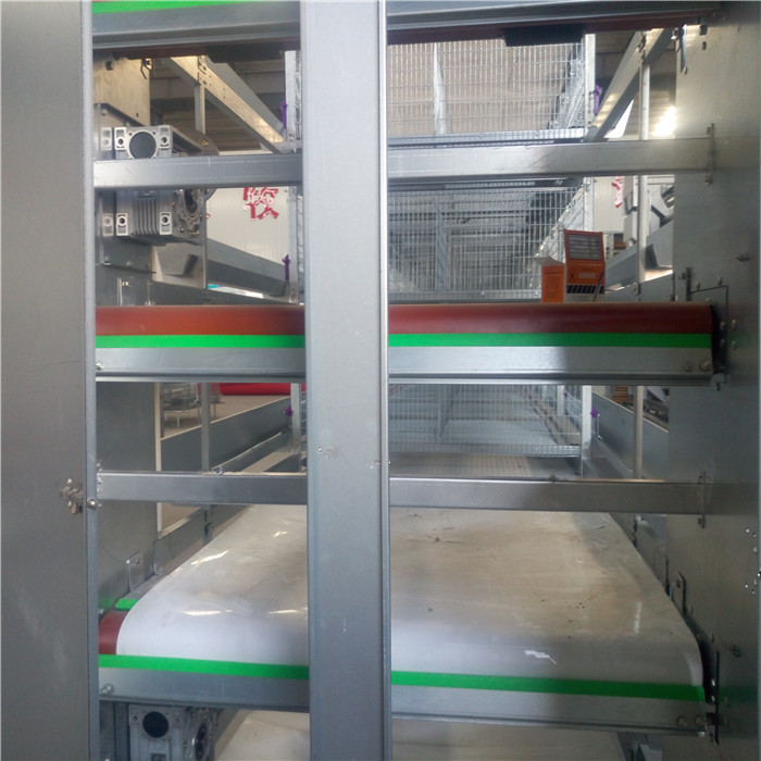 Multi Level Power Automatic Layer Poultry Equipment For Manure Cleaning