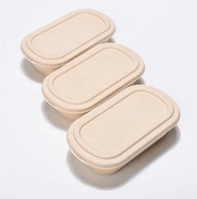 Bento Biodegradable Disposable Dinnerware Salad Compostable Takeaway Container