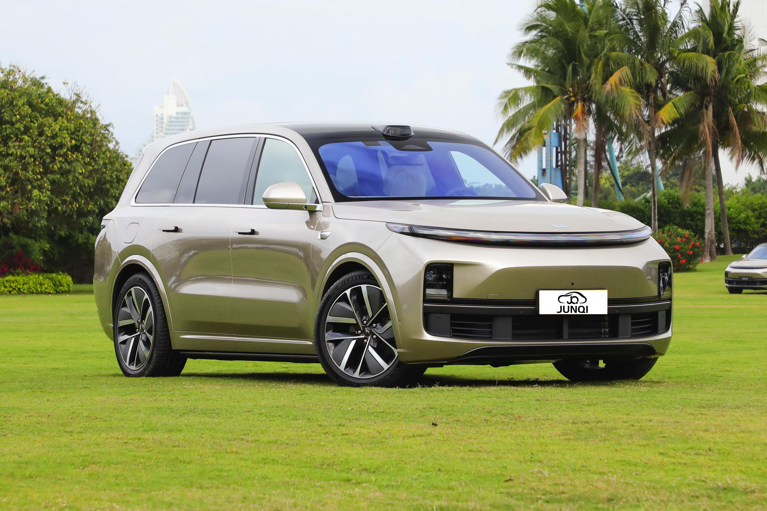 Lixiang L9 New Energy Electric Car Turbocharger Loop Fast 5 Door 6 Seater EV SUV