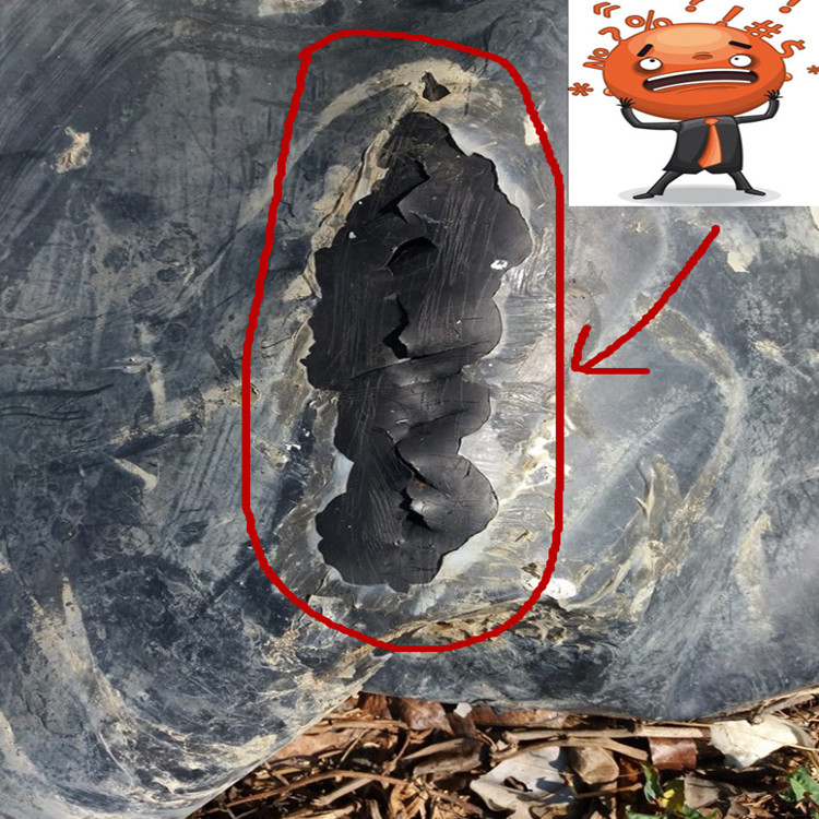 Geomembrane Circular Tanks for Aquaculture in Contemporary Design Style