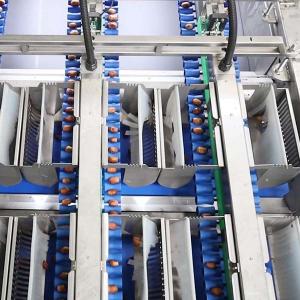 AI-Powered Sizing 2.0 Tons Per Hour 8-Lane Palm Dates Sorting Machine