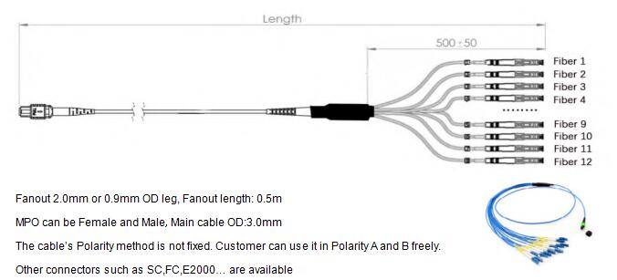 12 Fibers MPO to LC OM4 Fiber Optic MPO-LC 2.0mm Straight harness Cables