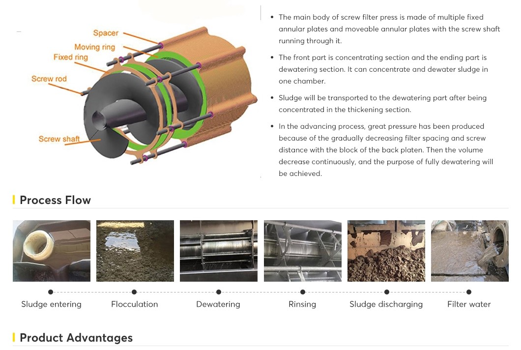 Home Sewage Treatment Plant Small Stainless Steel Screw Sludge Dewatering Filter Press Equipment High Efficiency