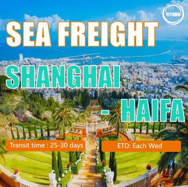 Air Services/Sea Freight Services/Logistics/Freight Forwarding From China to The