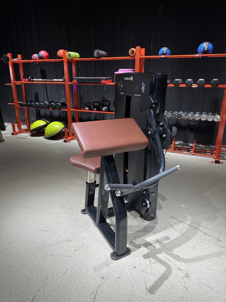 Seated Bicep Curl Pin Loaded Machine Has Self-aligning Handles Commercial Pin Loaded Strength Gym Equipment