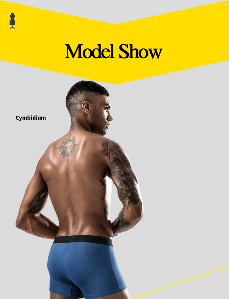 Plus Size L-6XL Mens Boxer Shorts Modal Men'S Breathable Boxer Briefs