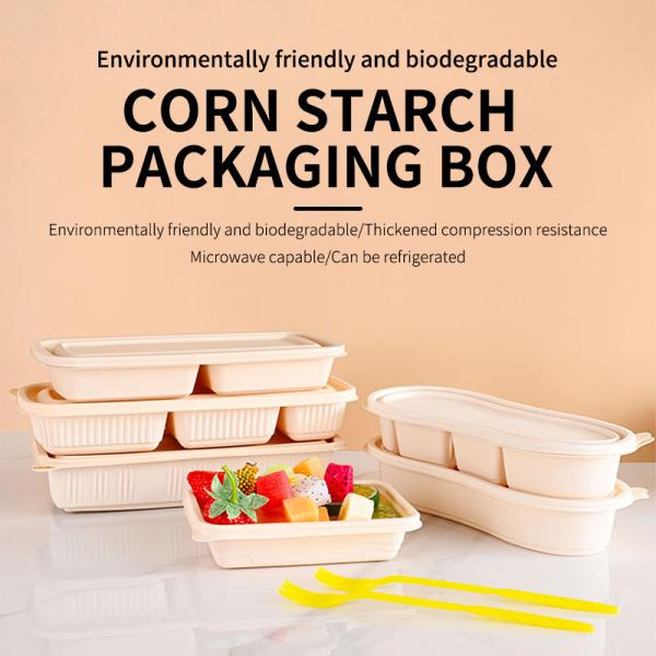 Quality Multi Compartment Bio Degradable Food Packaging Custom Rigid Boxes for sale