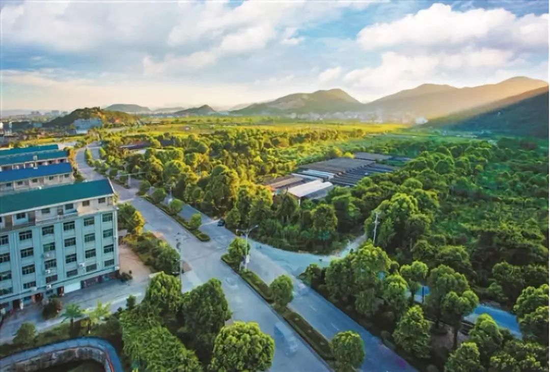 Automatic RO commercial industrial production water supply water filtration