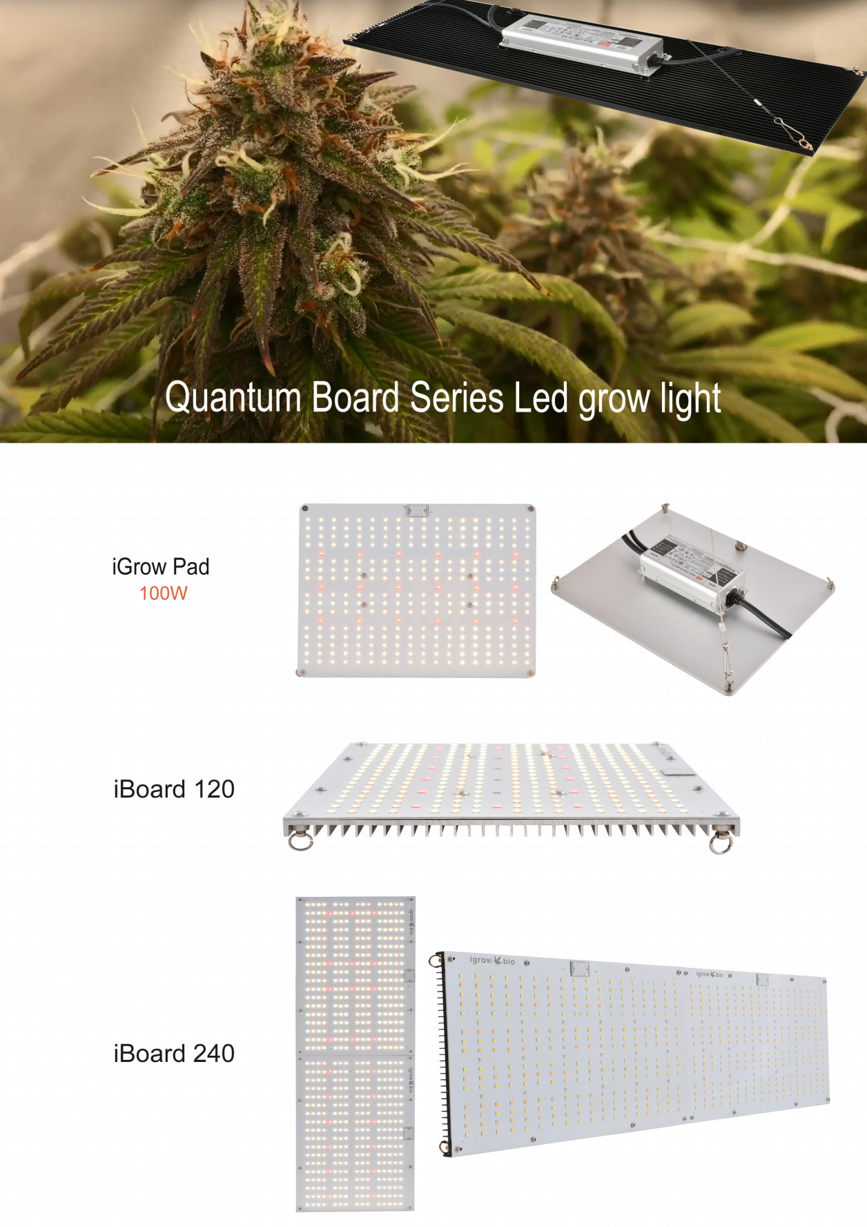 High PPFD CE IP65 Dimmable LED Grow Lights