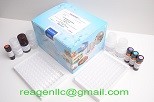 Plasmid Detection Kanamycin Fine Test Elisa Kit high repetitive