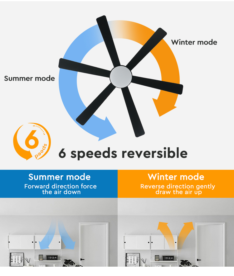 ceiling fan