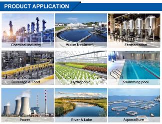 Henan Bingsheng Industrial Co., Ltd.