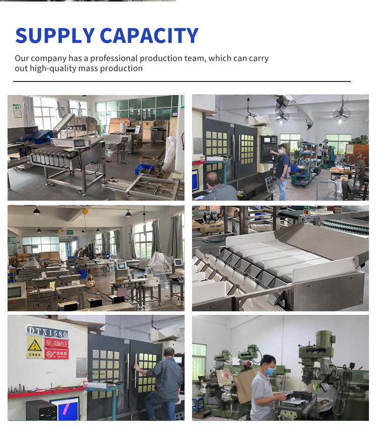 High Speed Conveyor Weight Checking Machine For Vegetables 2 Years Warranty