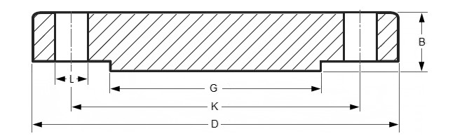 Super Duplex Steel Flanges F55/S32760/W.Nr.1.4501 Forged Blind Flange