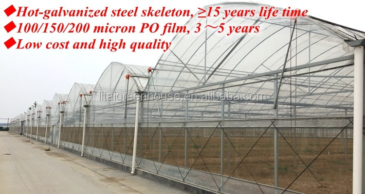 Film Covered Greenhouse for Agriculture in Namibia Affordable and Customizable Height