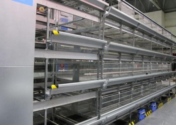 Eco - Friendly Chicken Egg Laying Equipment High - Density Raising Save Labor