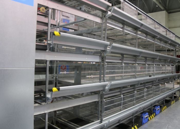 Eco - Friendly Chicken Egg Laying Equipment High - Density Raising Save Labor Cost