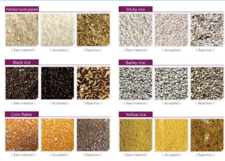 3t/H Grain Color Sorter 5400 Pixel Toshiba Brand Camera