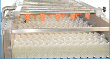 Parallel Roller Seafood 800kg Fruit And Vegetable Washer Machine