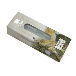 Plain Cartridge Vape Pen Packaging Box Gloss Lamination With Display Window