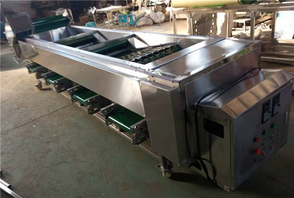 mushroom sorting machine,mushroom grading machine,walnut sorting machine,walnut grading machine