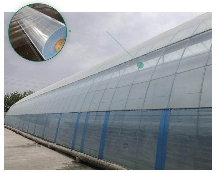 Multi-Span Agricultural Greenhouses Advanced Hydroponic Growing System for Section 4m/8m