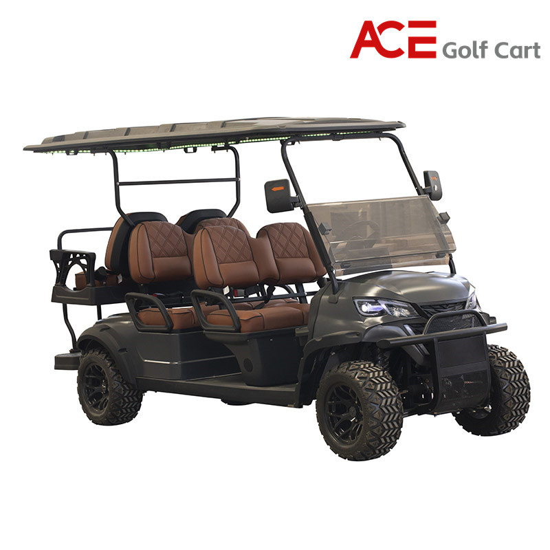 Sun Canopy Roof Electric Golf Cart With Leather Fabric Seats 8 - 9 Hours Charging Time
