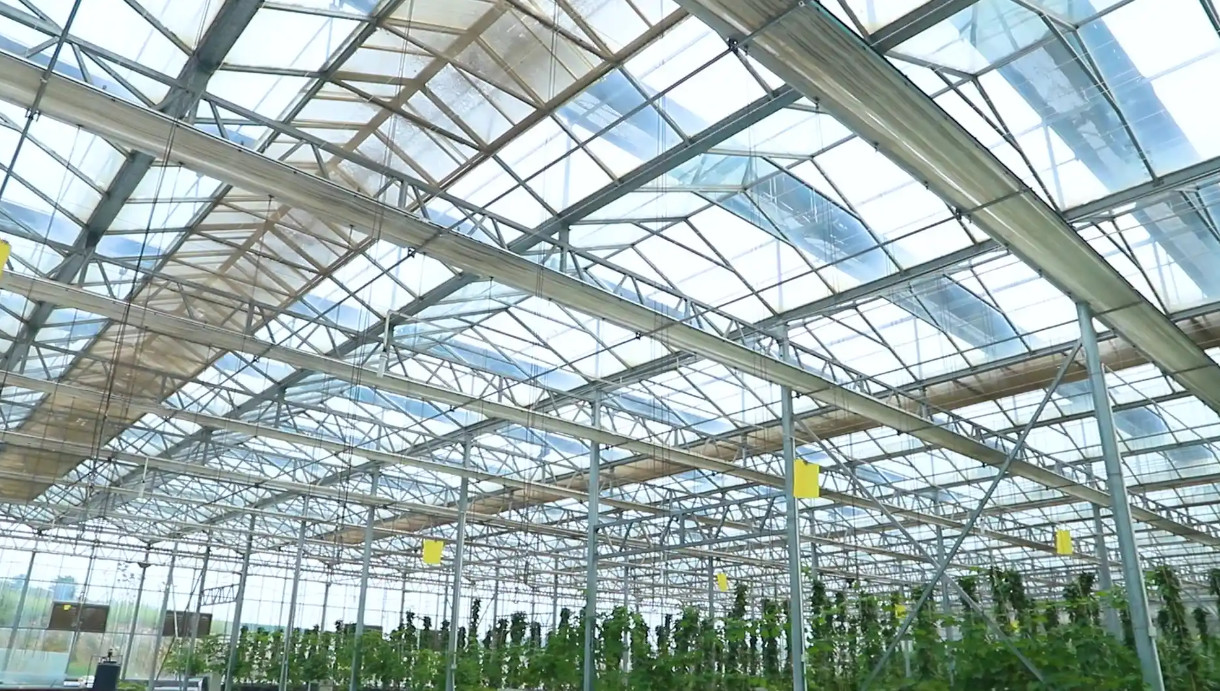 4mm tempered greenhouse glass