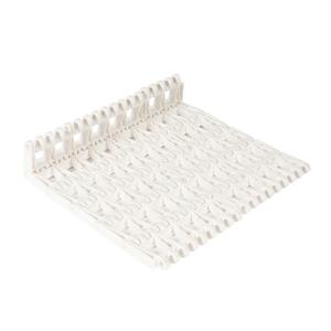 Customized 1001 Type Modular Conveyor Belt for Conveyor System