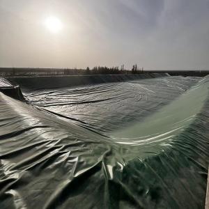 Long Lifespan Hdpe Smooth Geomembrane Multi Scenario Pvc Geomembrane Liner