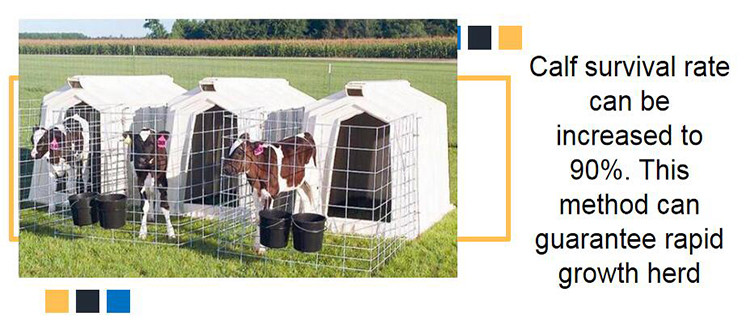 Alkali Resistant 98kg Dairy Calf Hutches Long Life Span