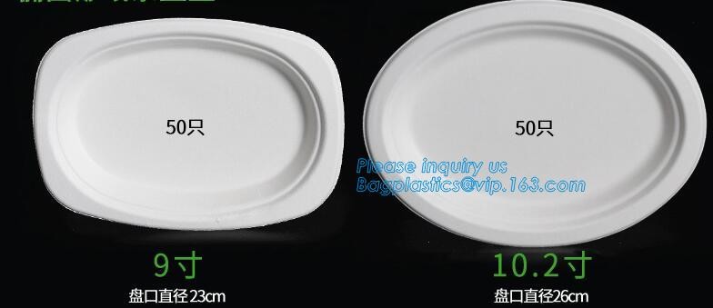 Meal Prep Containers Free Sample Bento Lunch Box Biodegradable Food Container Plastic Wheat Straw Lunch Box bagplastics