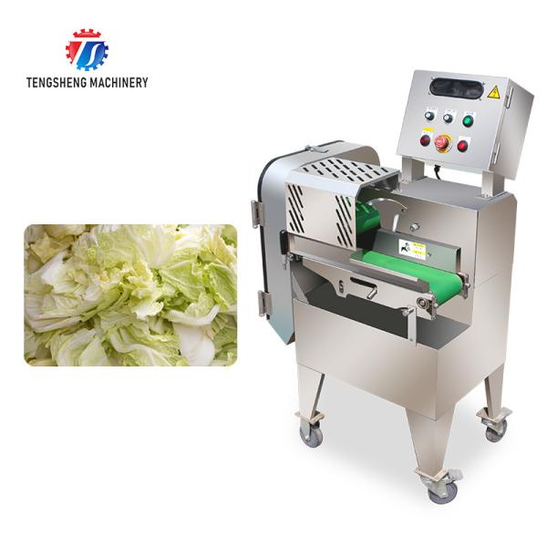 75KG Large Fruit And Vegetable Cutting Machine Leaves Commercial Stainless Steel