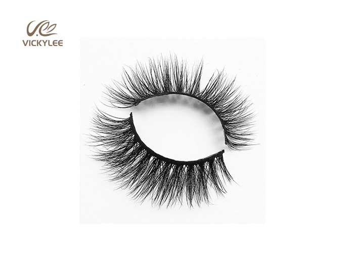 Whole Strip Fan Shaped OEM Natural False Eyelashes
