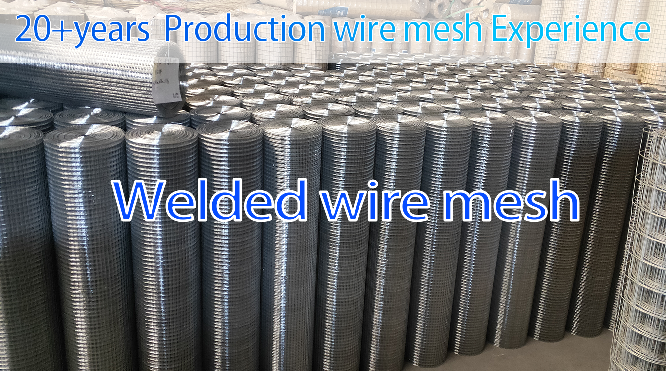 Hot Selling Good Quality China Factory Direct Sale 1/4 Inch Pvc Coated Welded Wire Mesh