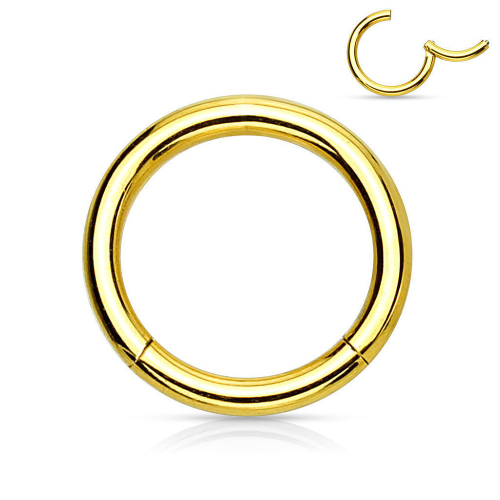 Titanium Hinged Segment Cliker Nose Ring Nose Hoop Ring Ear Tragus Cartilage Body Jewelry