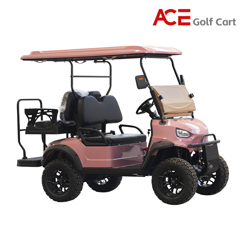 OEM Color Mini Golf Cart Buggy Tour Sightseeing Car CE Approval
