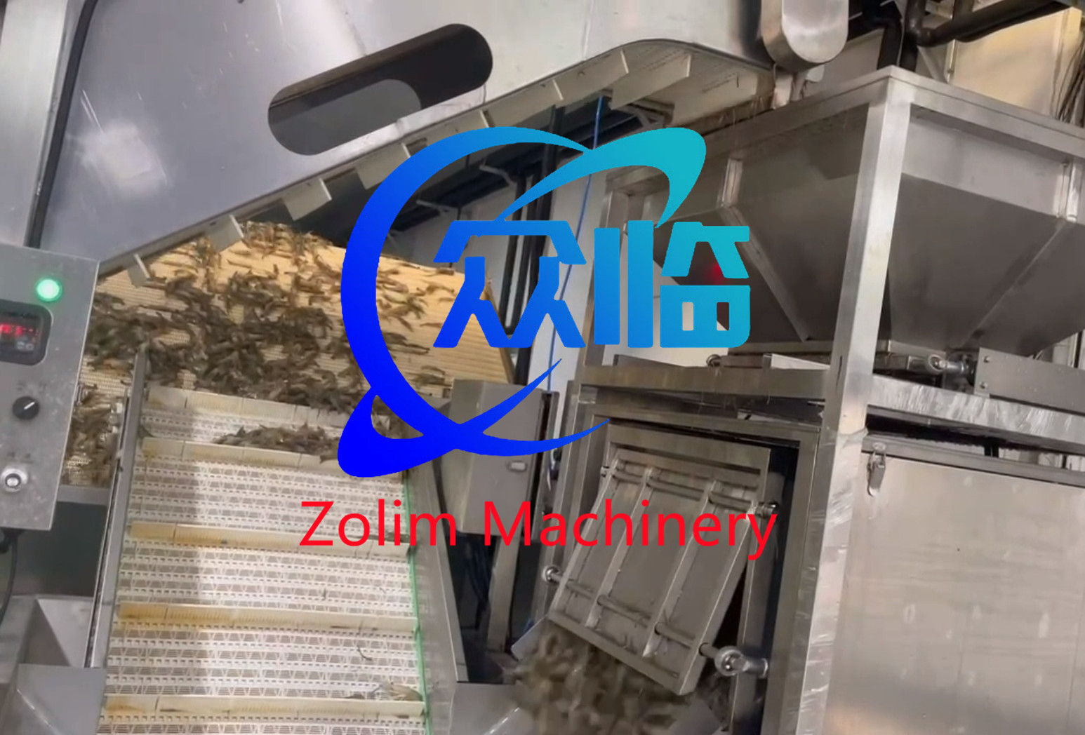 Stainless Steel 304 Automatic Raw Material Weigher, Automatic Fish Weigher